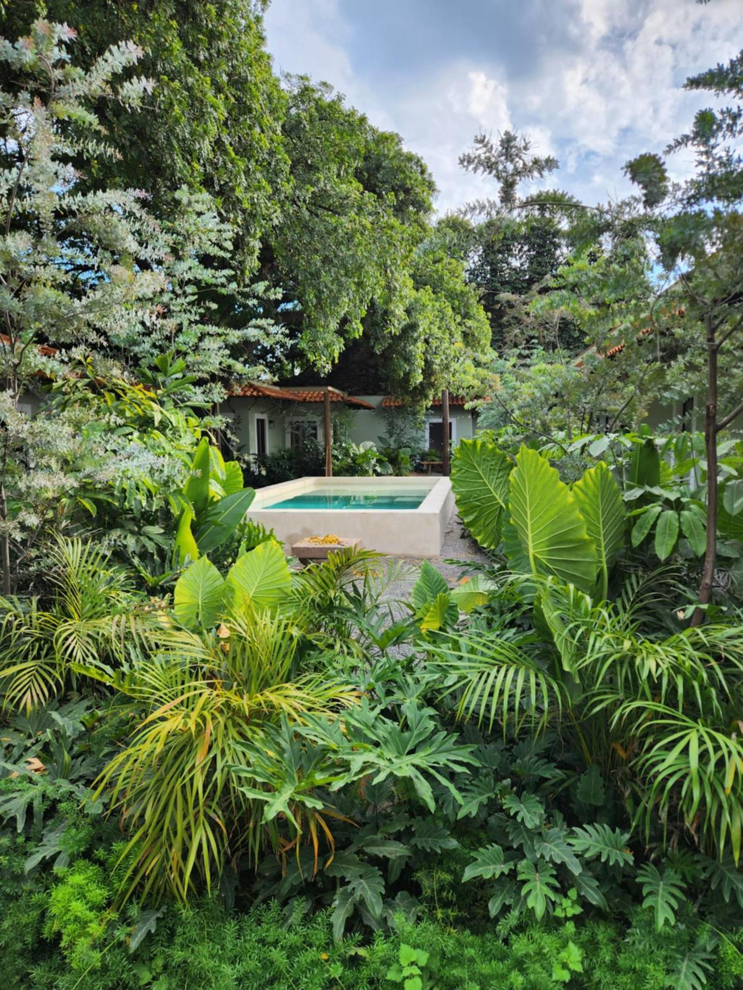 Hotel Boutique Villa Escondida, A Pasos De Lo Mejor En Тлакепаке Экстерьер фото